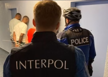 SIM-swapping gang dismantled in Poland over crypto theft