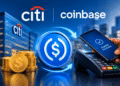 Stablecoin payment